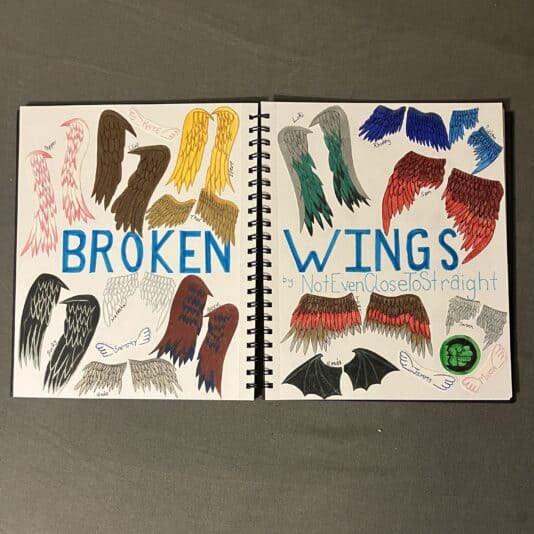 Broken-Wings